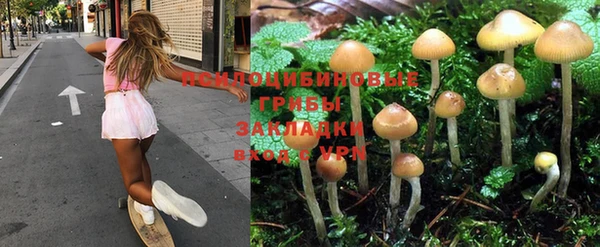 винт Лабытнанги