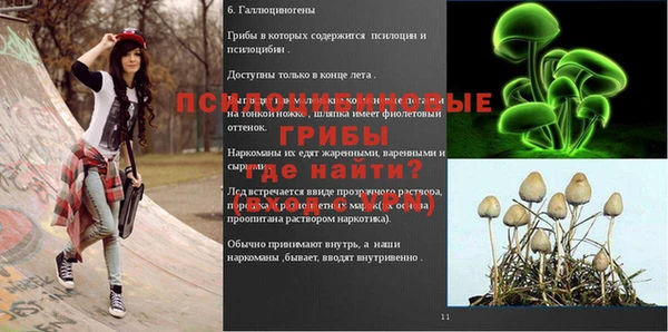 ALPHA PVP Ладушкин