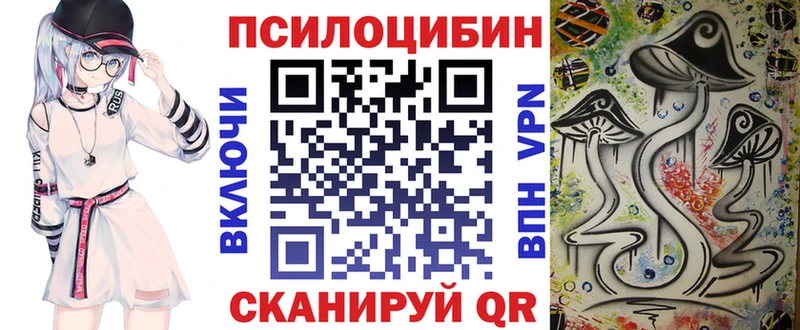 Псилоцибиновые грибы мицелий  Купить закладки  Шумерля 